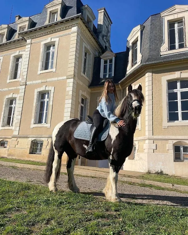 Pensionat Chambre Cocoon Chateau De La Bouchatte Chazemais